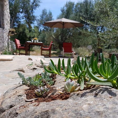Holiday Home Strpuncina Luka  Exterior foto